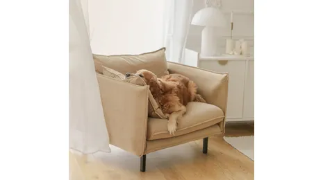 Light coloured furniture in your interior - it can work - even with children and pets!