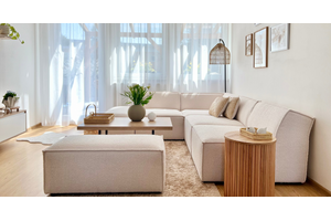 Elevating Your Sofa Journey: From Assembly to Budget - A Comprehensive Guide