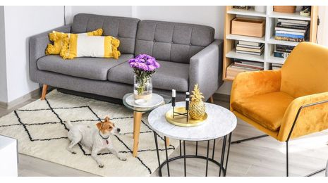 Sofas and armchairs on legs – pros and cons. Is it worth choosing this type of model for your living room?