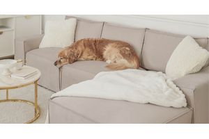 How to Keep Your Sofa Looking New with Kids and Pets at Home