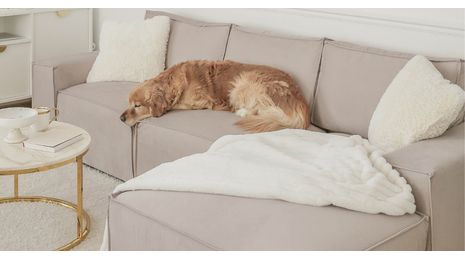 How to Keep Your Sofa Looking New with Kids and Pets at Home