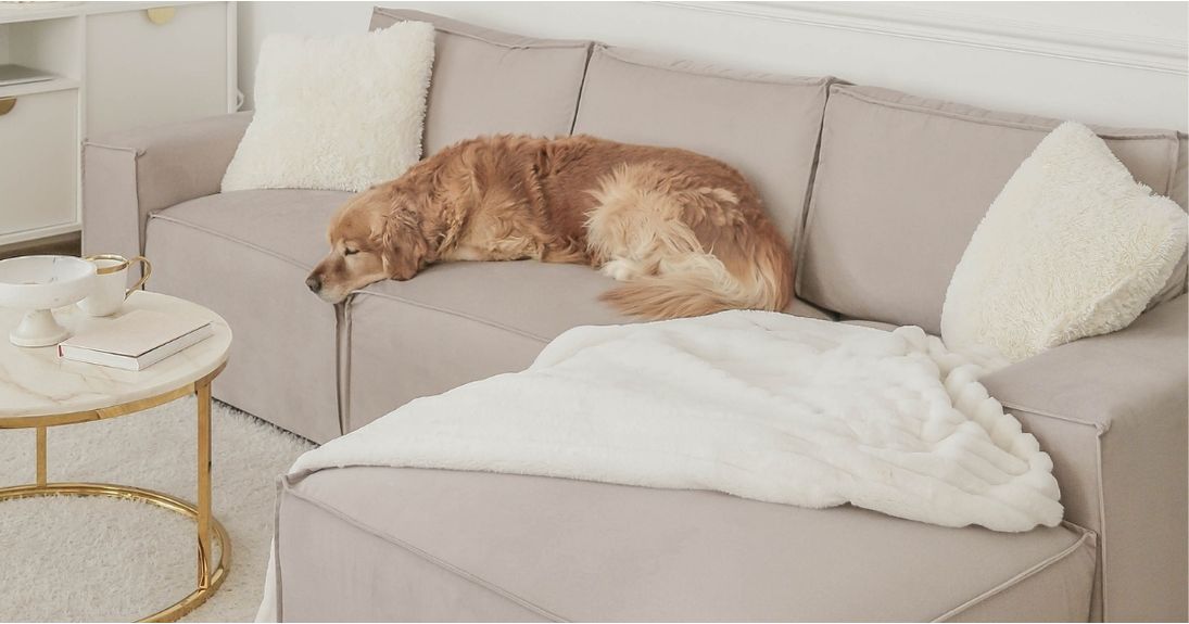 How to Keep Your Sofa Looking New with Kids and Pets at Home