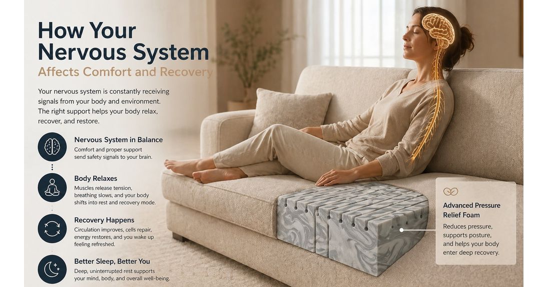 How Your Nervous System Affects Comfort and Recovery